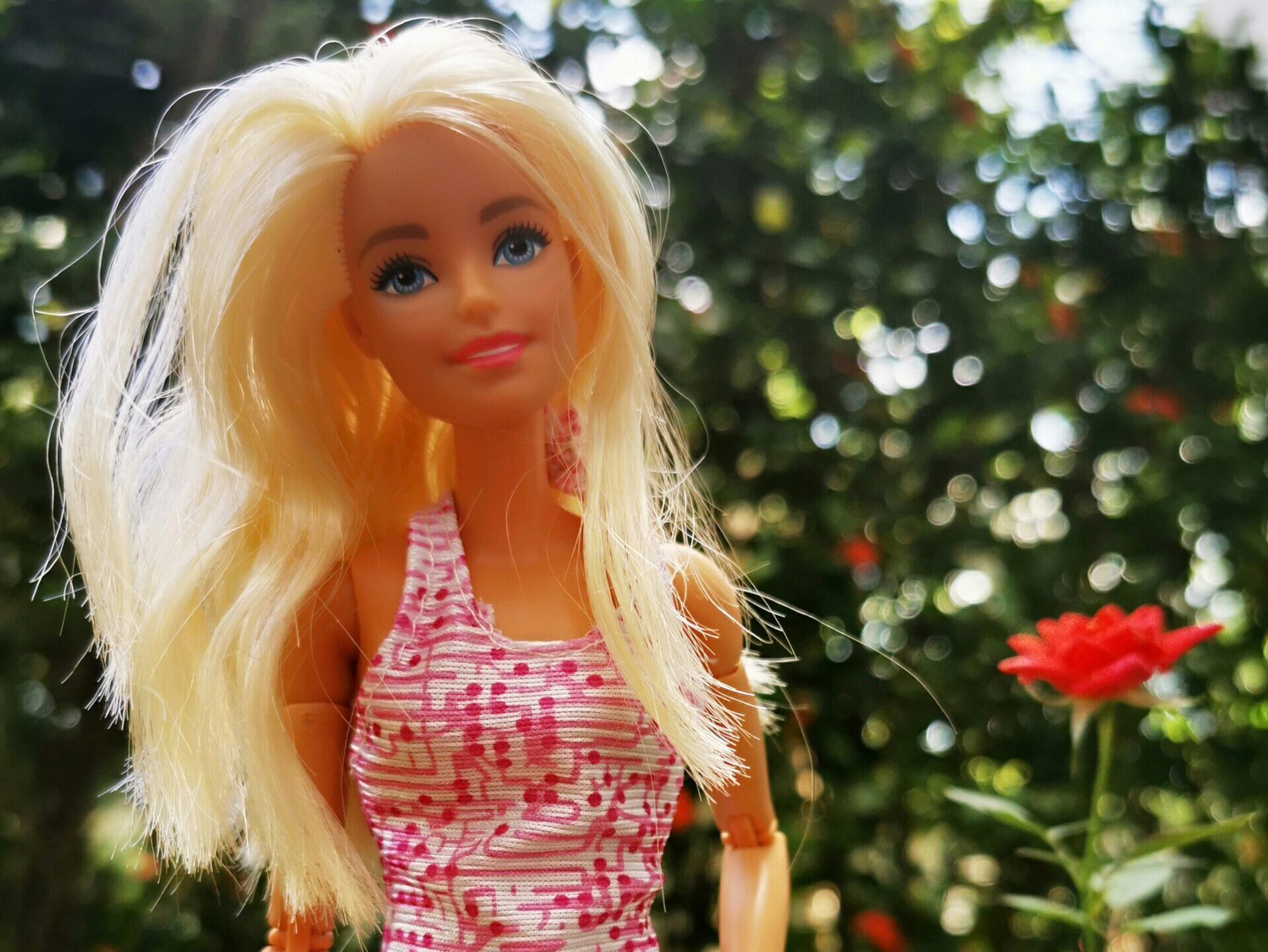 Er is er eentje jarig: Barbie wordt 65!